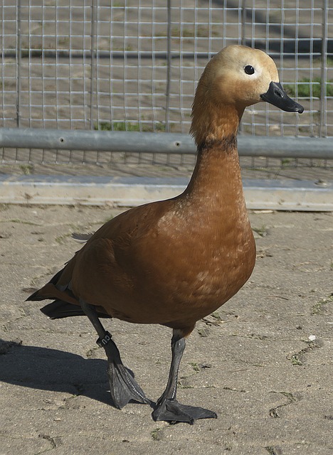 生涯經驗