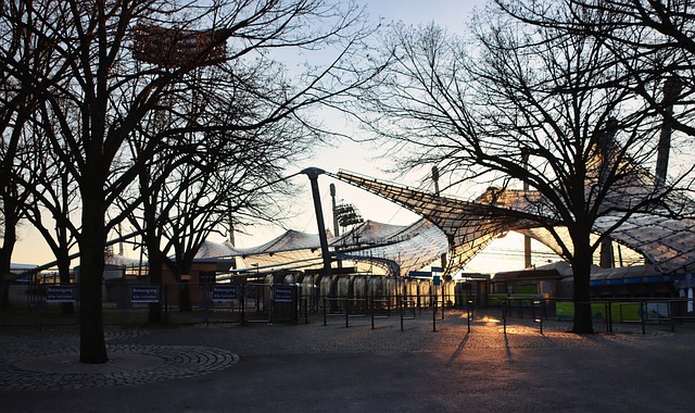 在这个过程 在这个过程