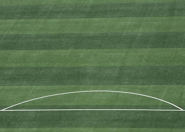 竞争也将有 竞争也将有