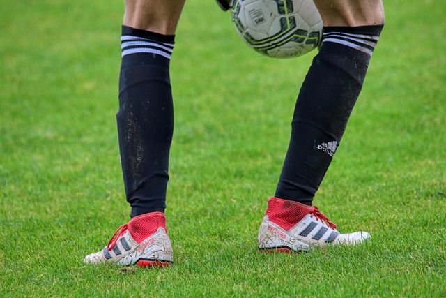 教练格雷格 教练格雷格