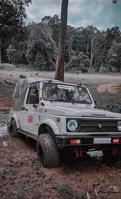 俱乐部欢迎 俱乐部欢迎