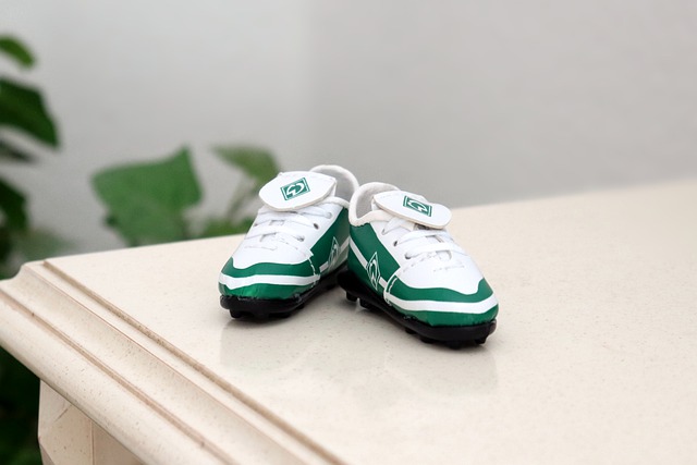 科学的规范 科学的规范