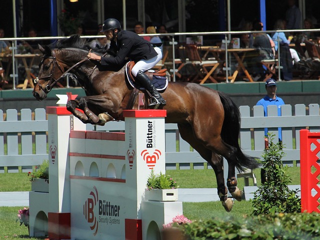 对阵老东家热那亚，何塞普-马丁内斯迎来国米生涯意甲首秀.